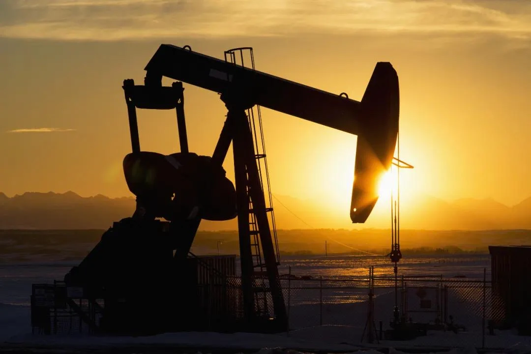 oil oil