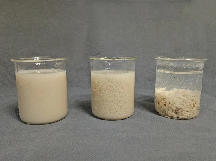 PAM Cationic Polyacrylamide Powder (2) PAM Cationic Polyacrylamide Powder (2)