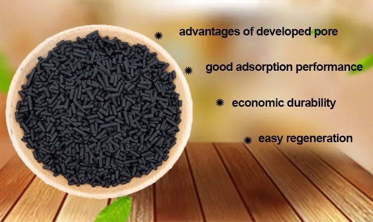 product-748-445 product-748-445