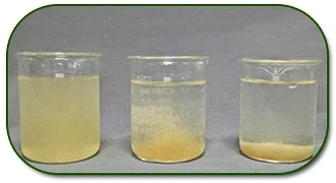 product-336-183 product-336-183