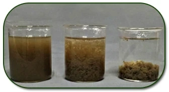 product-336-183 product-336-183