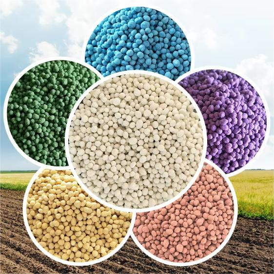 product-562-562 product-562-562